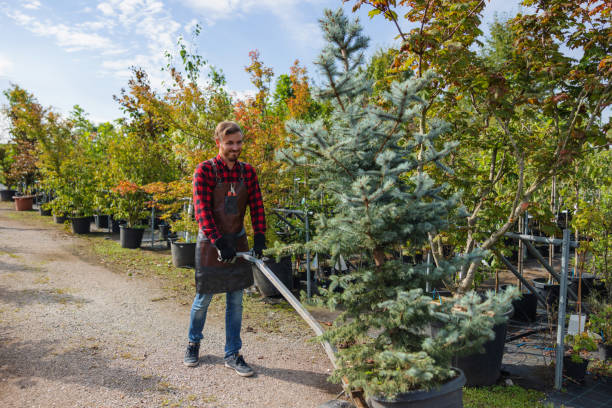 Best Commercial Tree Services  in Prestbury, IL